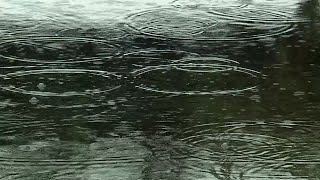 Here's how much rain fell in Maine from June 22-23, 2026