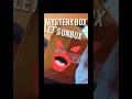 Yeh box kiska hai? #fylpシviralシ #minivlog #youtubeshorts #trendingshorts #motivation #unboxing #gift