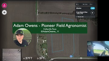 Assessing Stands with DroneDeploy