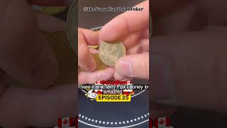 I Forgot How Good Canadian Loonies Are 😳🍁