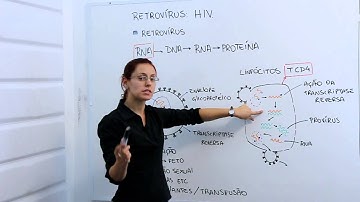 Retrovírus  HIV