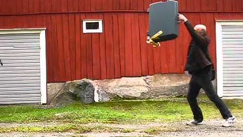 reference material for part 1 of "Stewie at the airport"