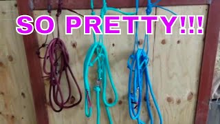 Comparing Sundance and DUH Halters