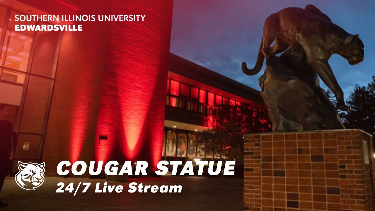The Cougar Statue at SIUE (Live Stream)