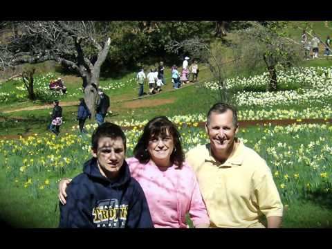 Video: Daffodil Hill Se Je Zaradi Preobilice Zaprl