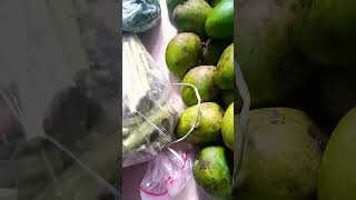 Summer Fruits ❤️😍🥰🌿 #shortvideo #viral #food #trendingshorts #viralshorts #top #vlog #video🌟🌷 🌸☘️🌺🇧🇩