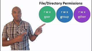 Project 41 - File Permissions and the Principle of Least Privilege in System Administration