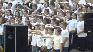 spring program elvis