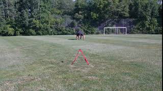 Push Up Sprint Into 45-Degree Cut