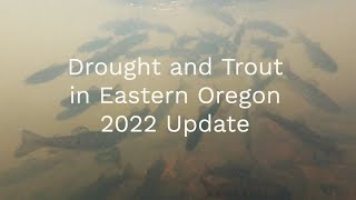 Lake County Drought and Fishing Update 2022