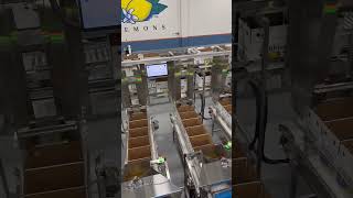 Lemon 🍋 AB count fillers and auto box delivery @packlinetech #agriculturetechnology