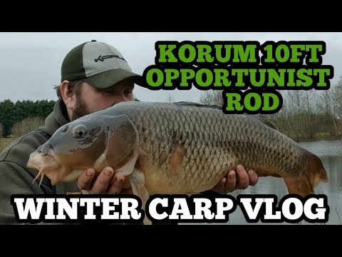 Short Winter Carp Vlog - Korum Opportunitst 10ft Rod 