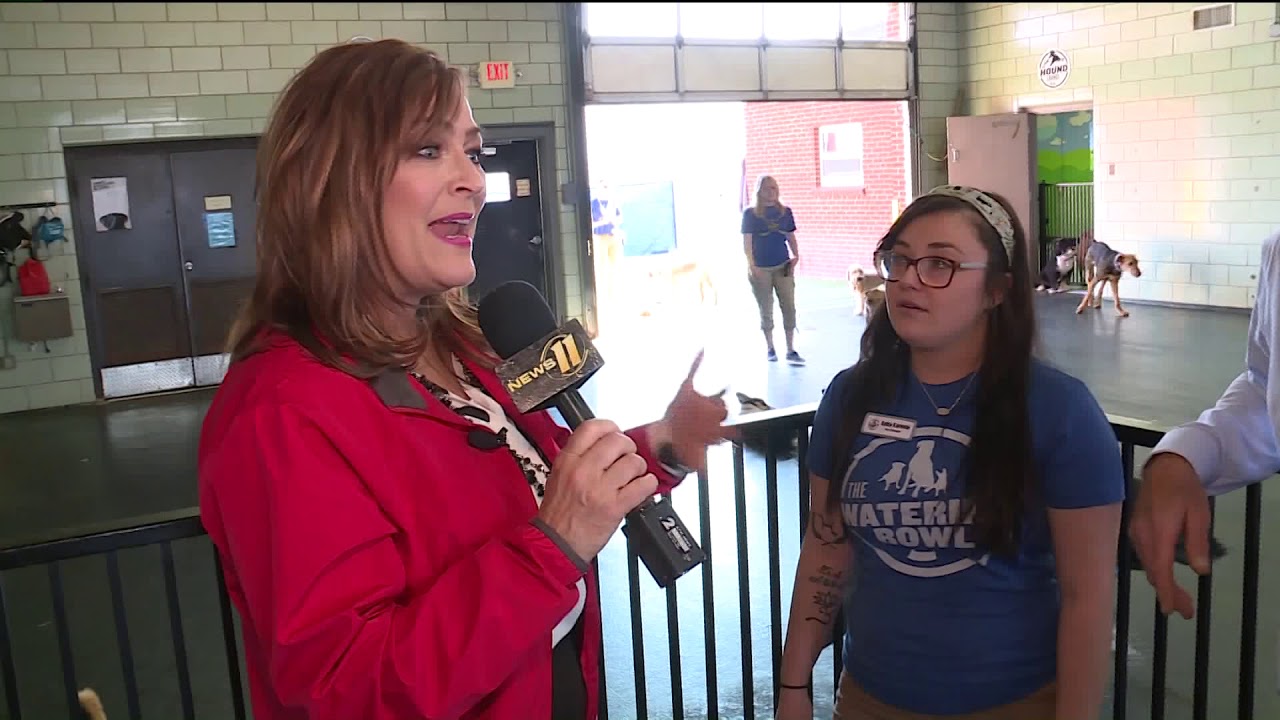 The Watering Bowl YouTube