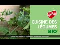 Envie dun dner engag et gourmand 