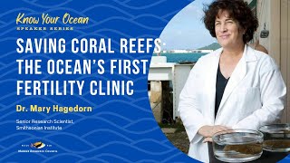 Know You Ocean Speaker Series-Saving Coral Reefs: The Ocean's First Fertility Clinic-Mary Hagedorn