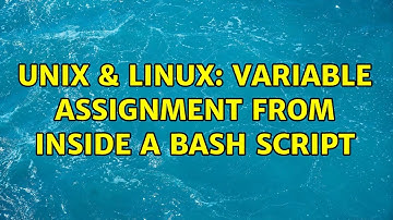 Unix & Linux: variable assignment from inside a bash script (3 Solutions!!)