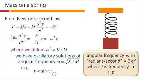 Oscillations - David Miller