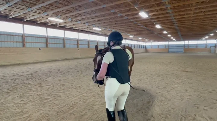 Amanda French Bridle Drop 8/10/2022