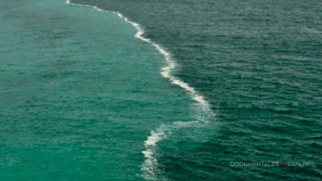 El misterioso lugar donde los mares no se mezclan llamado Golfo de