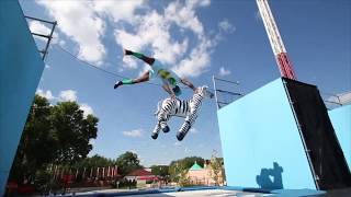 Elijah Holt Bmx Zebra Viral Video ( Tyler the Creator bmx zebra trampoline clip )