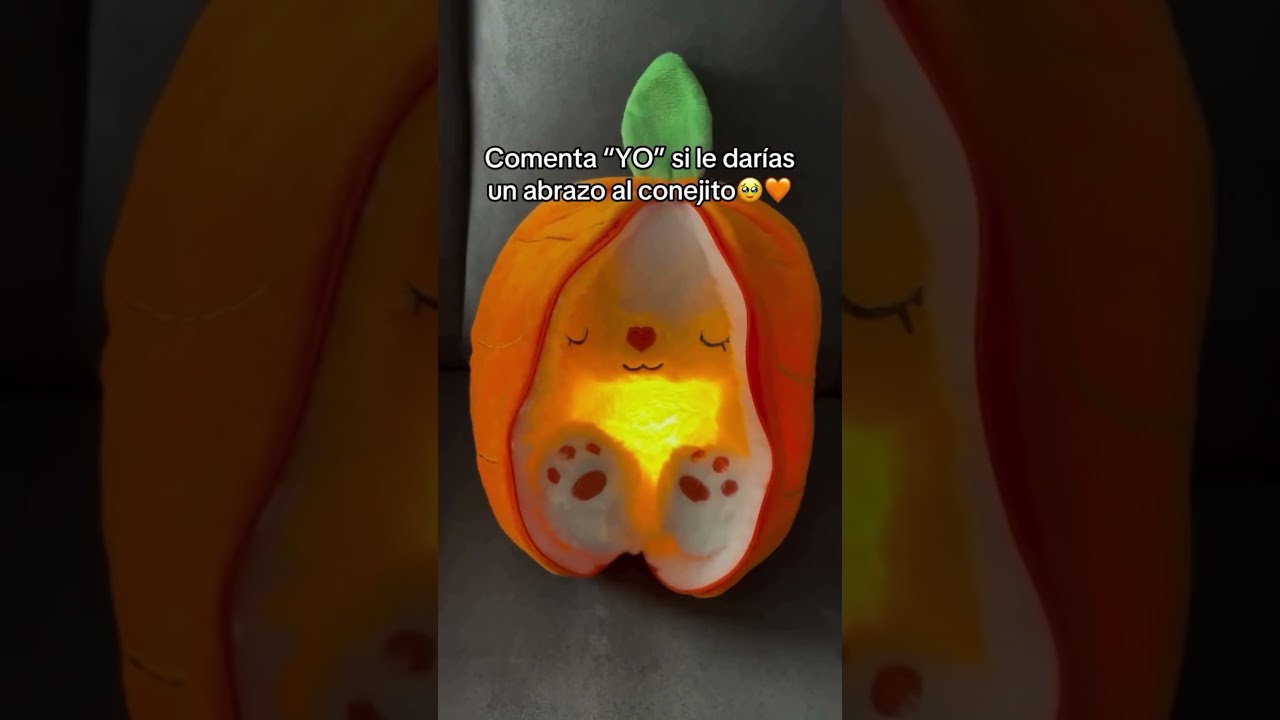 This bunny gives the warmest hugs ever 💛 