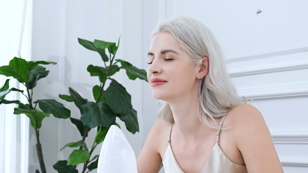 Hangsun Facial Steamer FS60 3-in-1 Nano Ionic Spa for Face Deep Cleaning