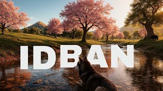 The Wolf Normal Server Hack Ban Id Code New Version