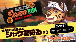 【サーモンランNW/参加型/シェケナダム/V限凸待/＃3】モップリンを使っていくモプよ【樫城槌/Vtuber】