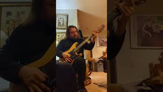 Guyker Tremelo  on a Strat