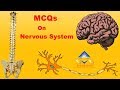 MCQs On Nervous System