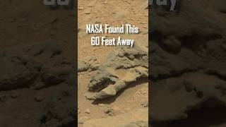 Amazing Skeletal Remains Discovered by MARS Rover | NASA Insights