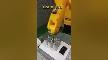 Amazing: The robot has such high speed and accuracy