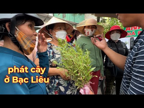 Video Tuấn Thái Trị || phát cây dành dành cho bà con tại bến... - youtube