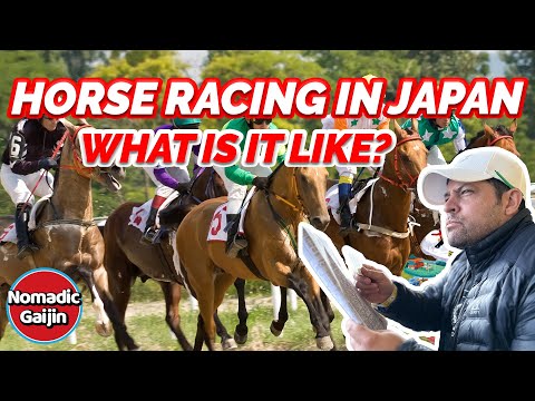 How Big Is The Horse Racing Industry In Japan