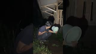 Testing The Power Of The Dream Bucket On A Ghosts Coconut