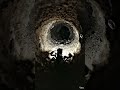 Scorpion Ambush Inside a Secret Burrow 🦂 #microexploration #bee #tinyworld #insects #groundbee #ants