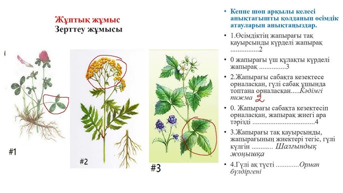 Желідегі сексуалды әйелдің видеосы Аналардың шынайы суреттері