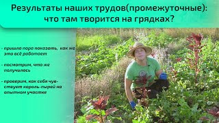 Результаты наших трудов (промежуточные): что там творится  на грядках?