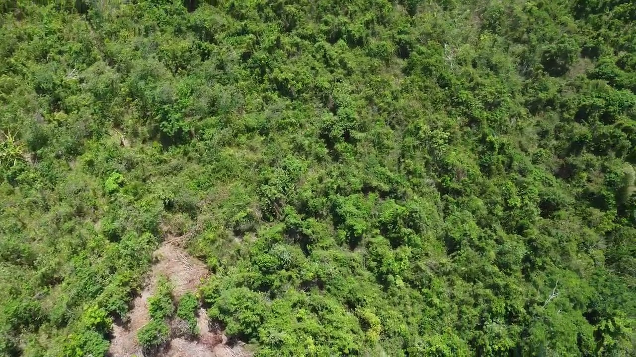 Prime Overlooking Property — Tiniguiban — video 2