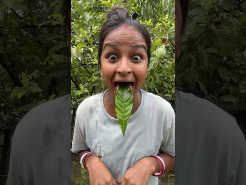 Hanaeatschilipeppersfunnyway Shortsbypapa Yas And S1358