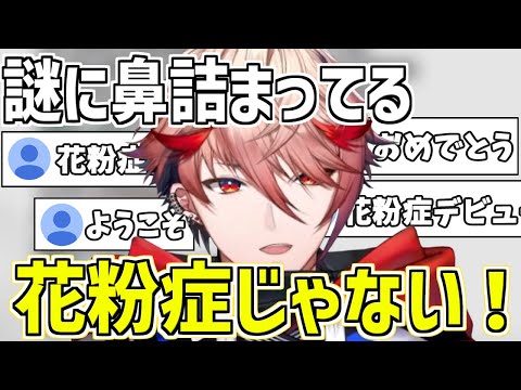 絶対に花粉症じゃないと言い張るセラフ【セラフ・ダズルガーデン/にじさんじ切り抜き/VOLTACTION】