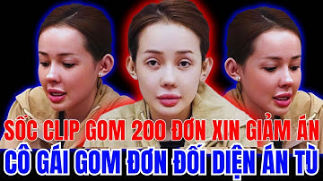Clip Gom Hai Trăm Mười Tám Đơn Xin Giảm Án Cho Ngân Chín Mươi Tám, Luật Pháp Nói Gì Về Hành Vi Này?