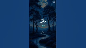 أحترم القران الكريم دقيقة فقط و أكتب #يارب ❤❤❤❤❤❤❤❤❤