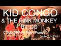 Capture de la vidéo Kid Congo And The Pink Monkey Birds Live Full Concert 4K @ Cold Crash Rezé France October 31St 2023