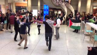 MESA York U & ASA Seneca Dabke Flash Mob