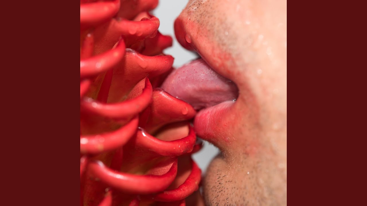 Смотреть «Momentary» на YouTube Смотреть «Momentary» на YouTube