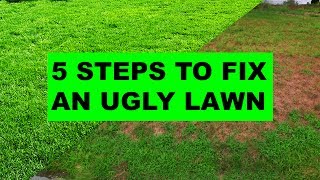 How to Fix an Ugly Lawn in 5 Easy Steps