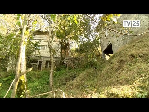 ცხოვრება მეწყერ საშიშ ზონაში