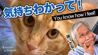 The cat wants to say. You know how I feel!