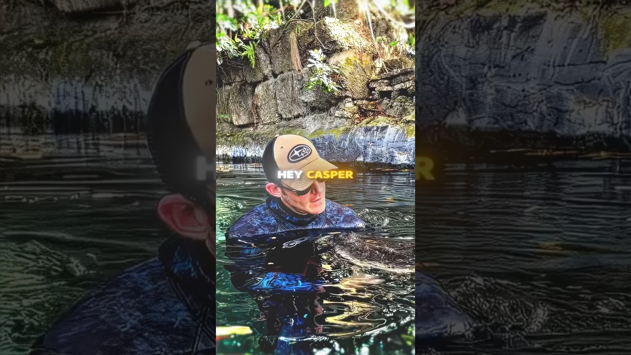 This man explains why the alligator doesn't attack him... 🐊🥶